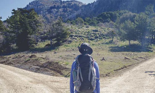 Featured blog image for The Paradox of Consumer Choice