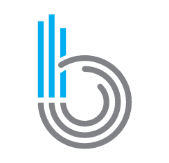 Criterion.B logo bug